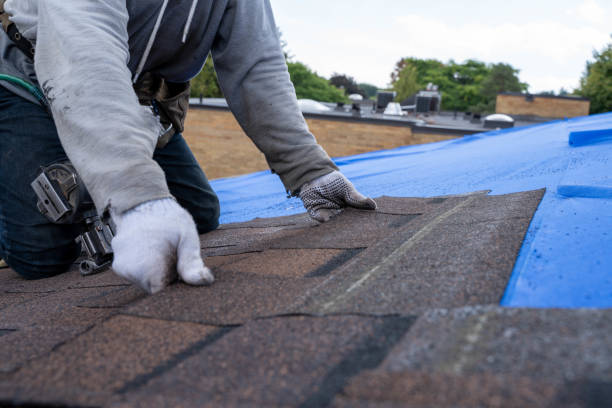 Best Roof Maintenance Services  in Riverview, FL